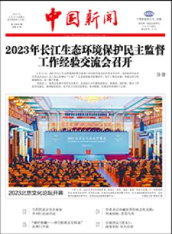 中国新闻报